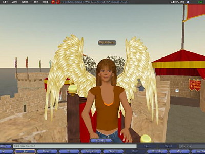 My new wings